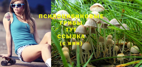 гашик Коряжма